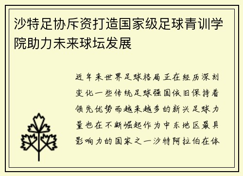 沙特足协斥资打造国家级足球青训学院助力未来球坛发展